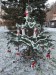 rozsvícení vánočního stromečku 1